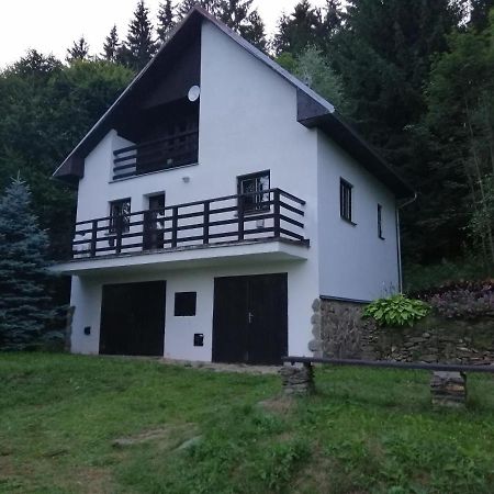 Chata Na Lipne Lipno nad Vltavou Exteriör bild